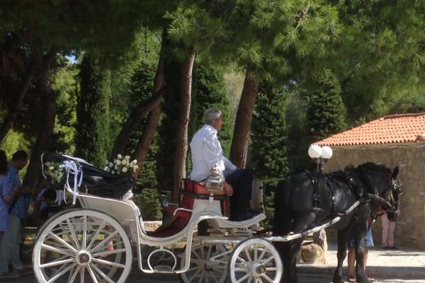 Κήπος των Ονείρων - Βάπτιση στη Ραφήνα