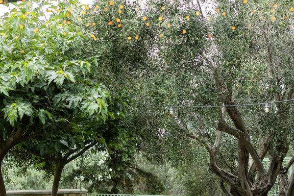Κτήμα Ποταμίδα Δεξίωση Γάμου Σπάτα Παλλήνη